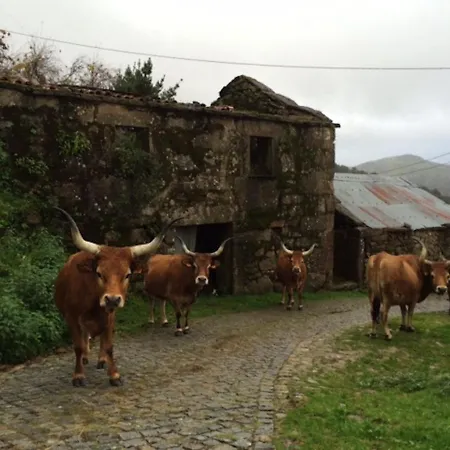 Casa Do Ramiscal - Eido Do Pomar Holiday home *