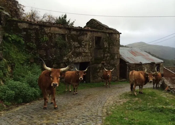 Casa Do Ramiscal - Eido Do Pomar 度假居 *